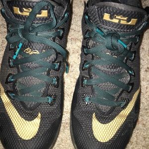 Men's Lebron basketball shoes